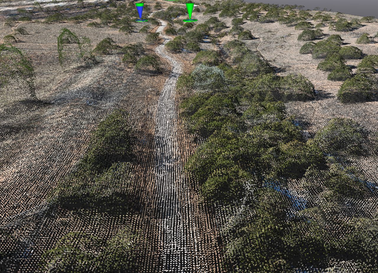 Oblique point-cloud view of the mapped corridor — a footpath threading up the middle, flanked by scrub and trees